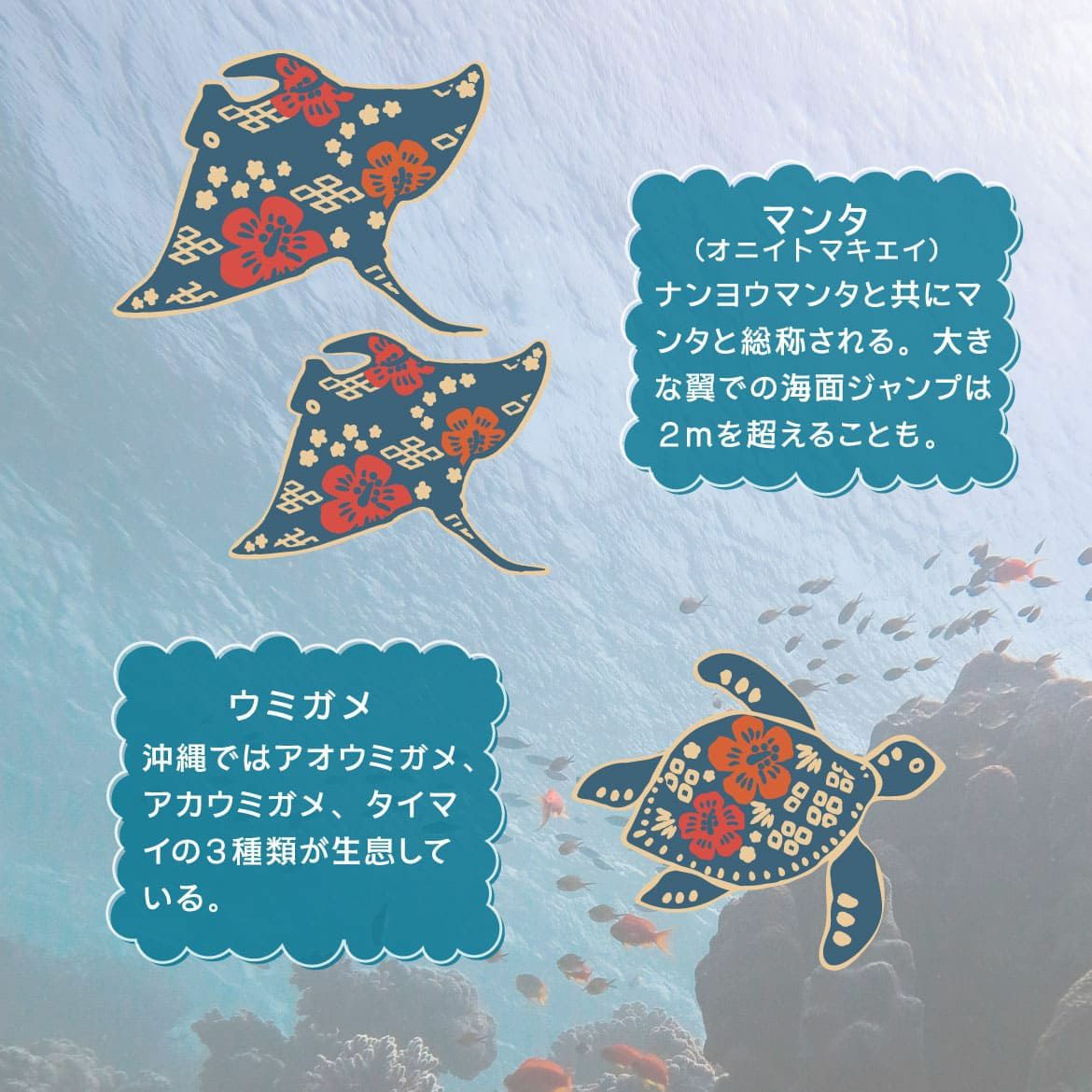デザイン詳細