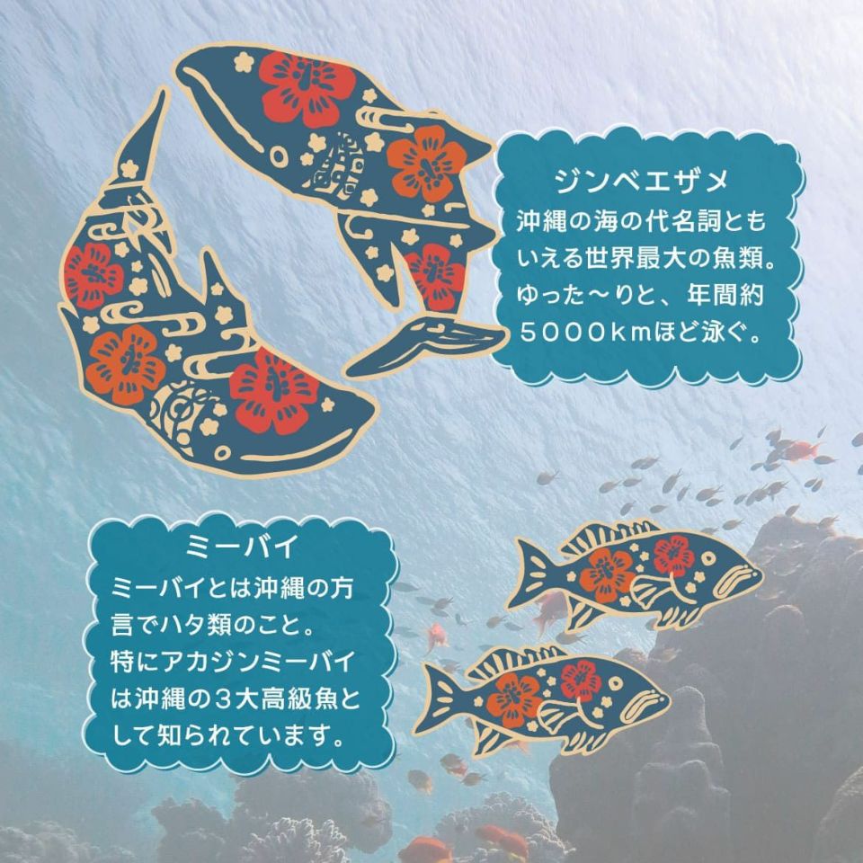 デザイン紹介