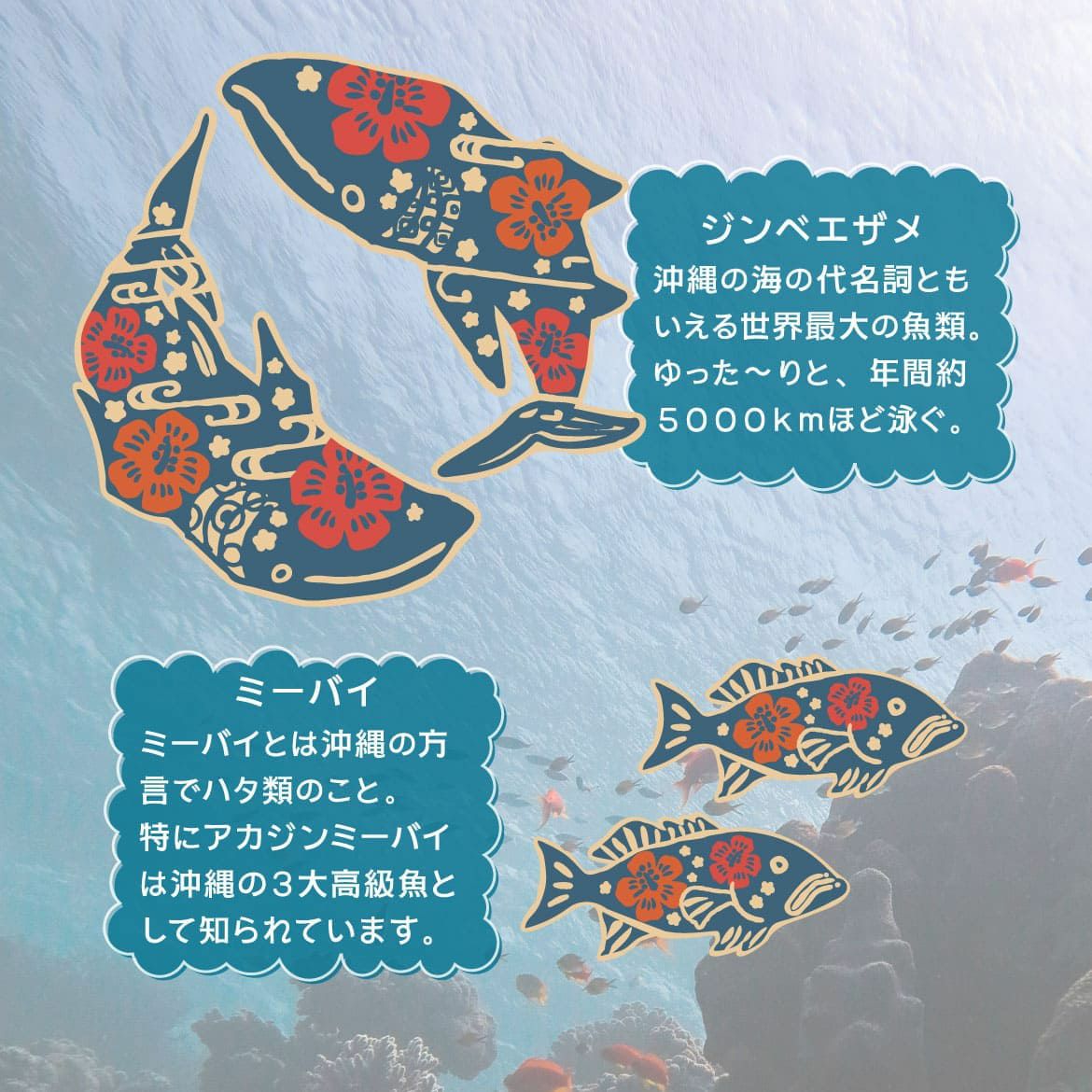 デザイン紹介