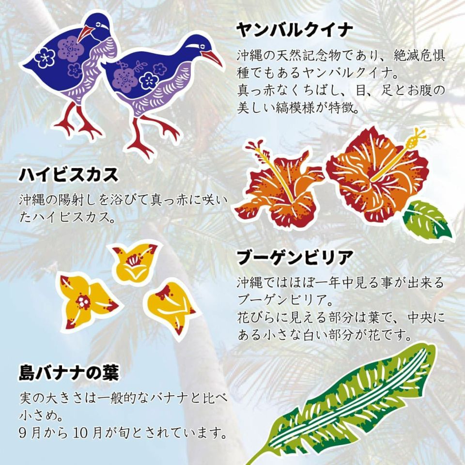 デザイン詳細