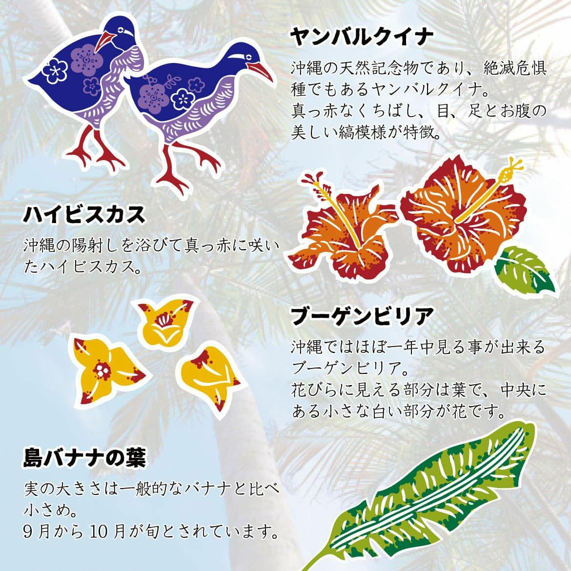 デザイン詳細