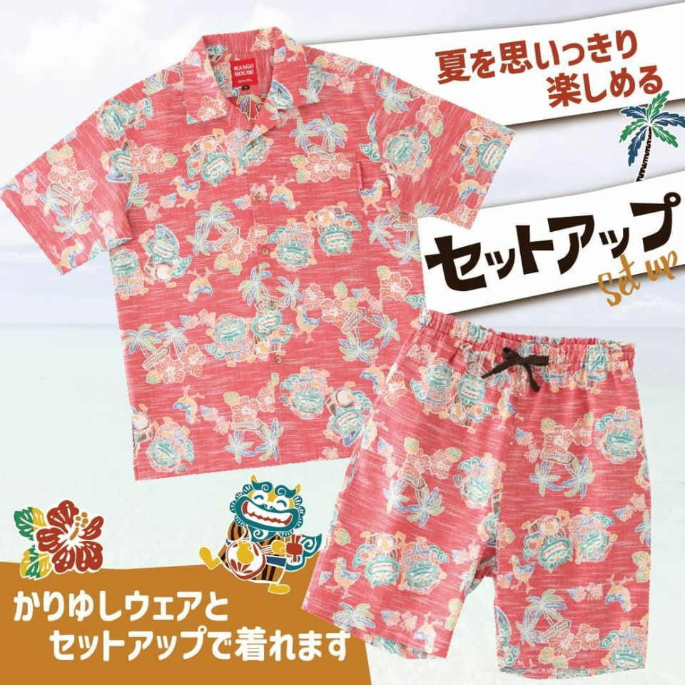 セットアップ可能