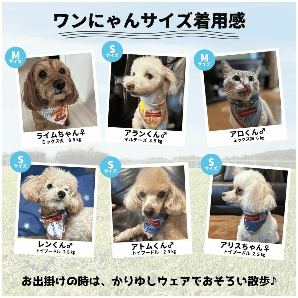 ペット用バンダナ着用画像