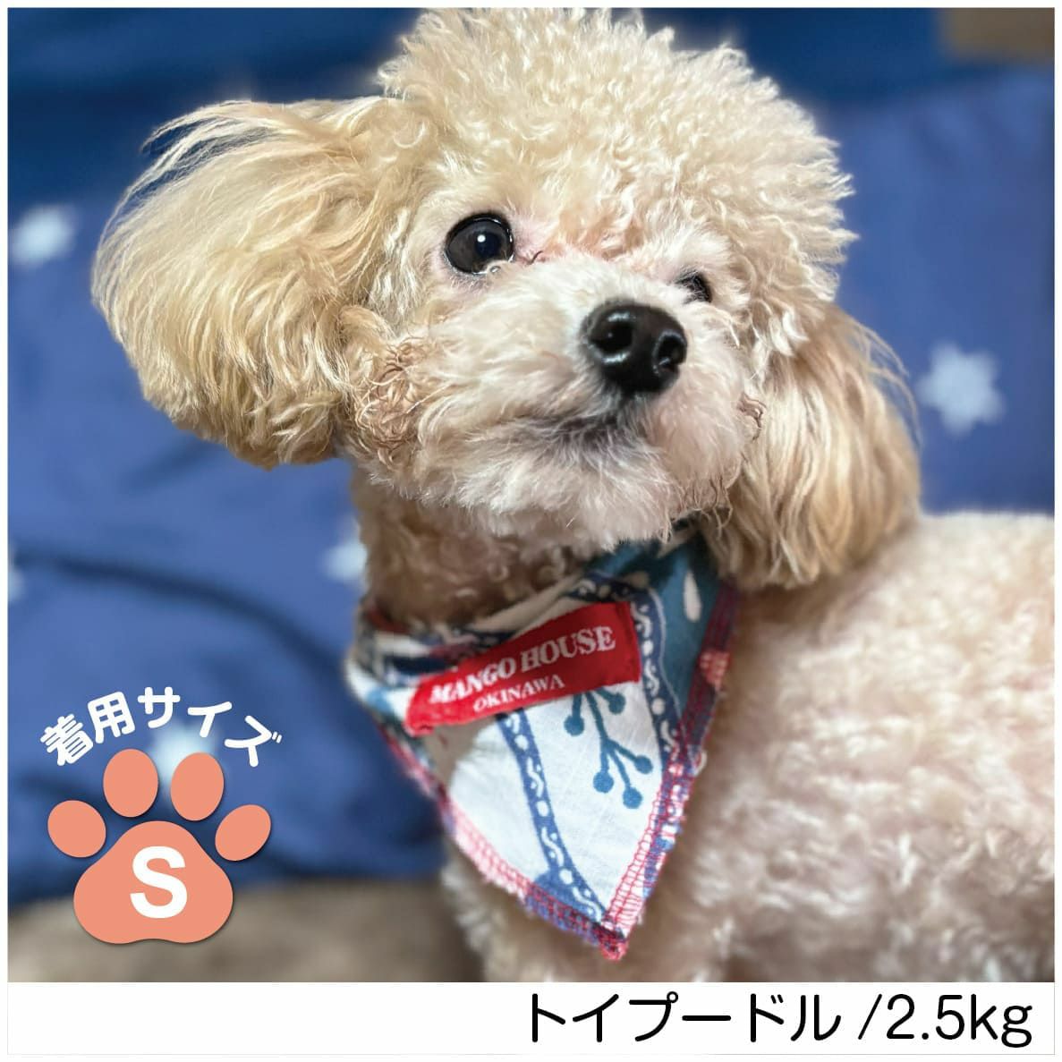 ペット用バンダナ着用画像