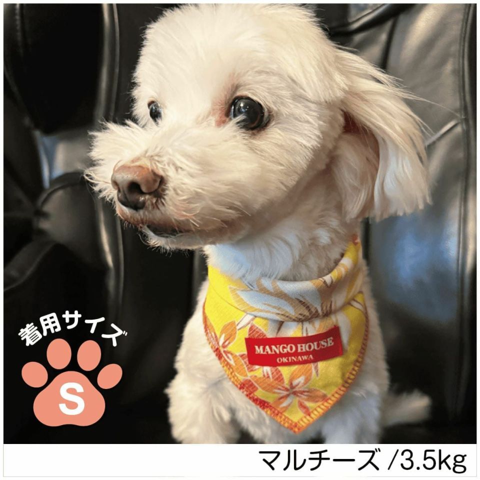 ペット用バンダナ着用画像