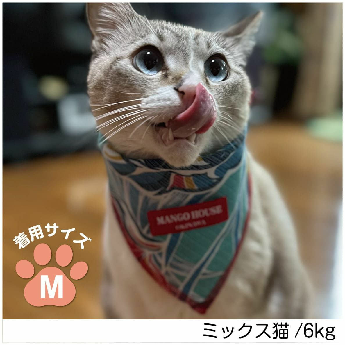 ペット用バンダナ着用画像